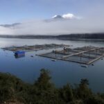 2048px-Jaula_cultivo_salmon_chile