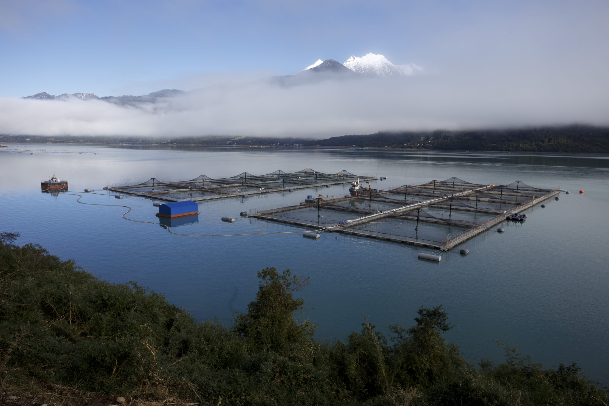 Jaula_cultivo_salmon_chile Jaula_cultivo_salmon_chile